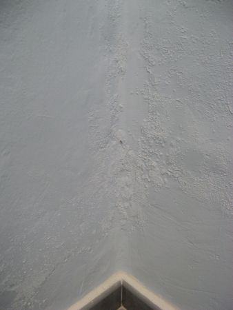 Pintura calamunida