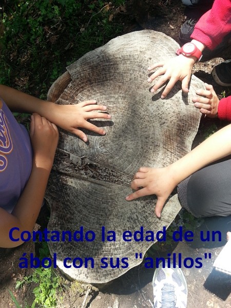 contando la edad