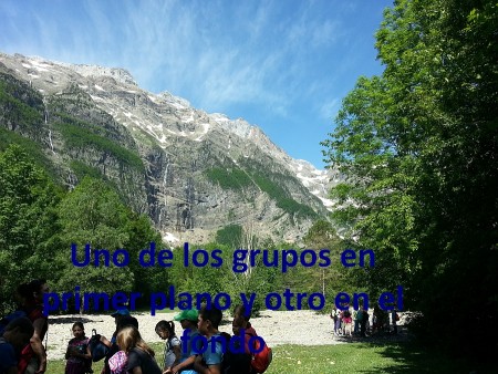 grupos