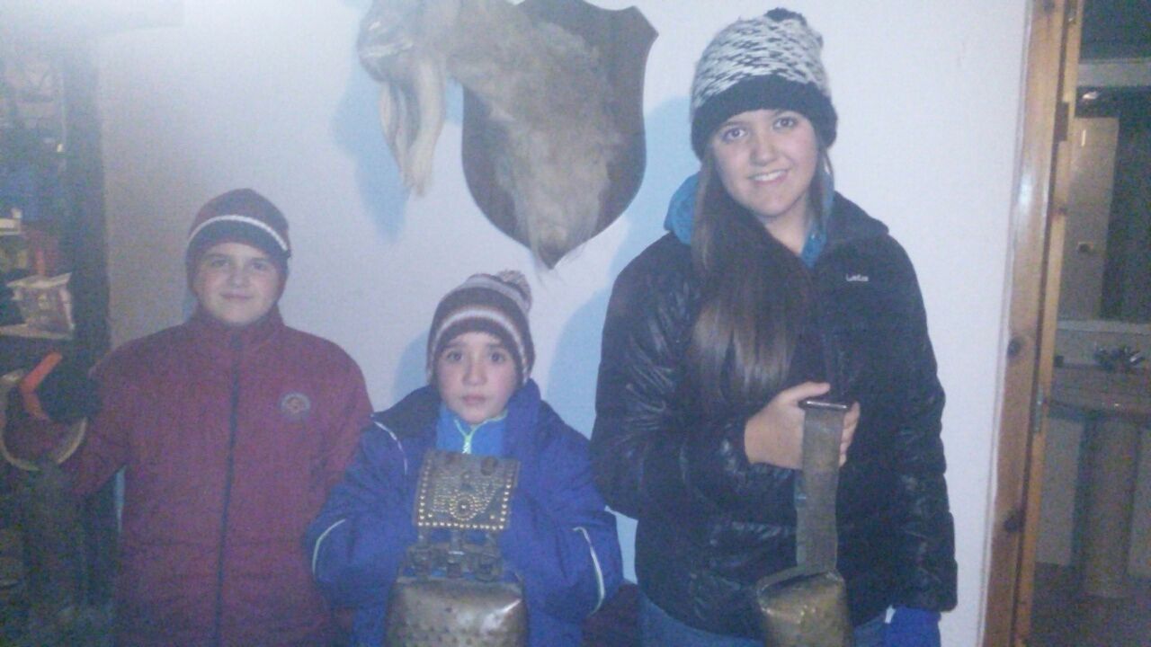 fiesta 4