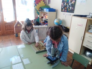 IMG_20160211_155355